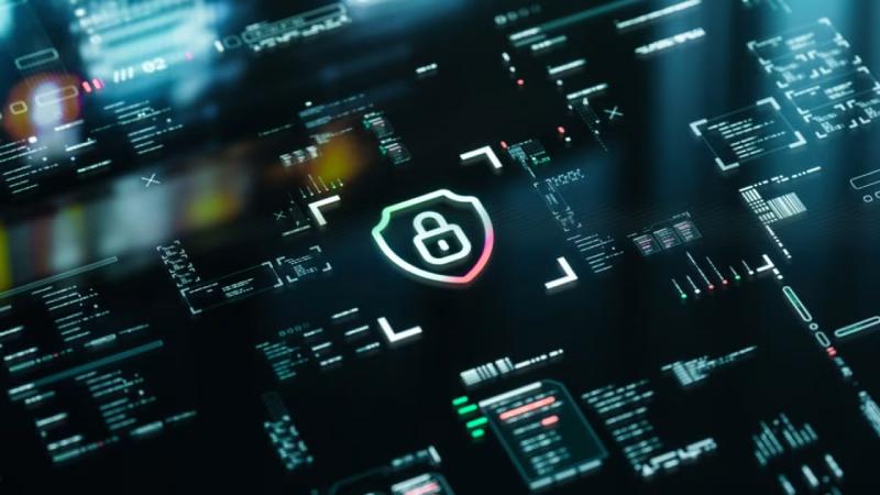 临潼区软件开发公司